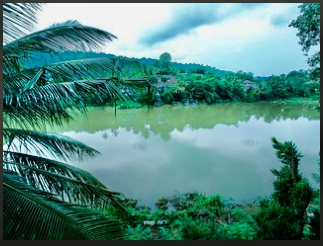 Amanzi Residence Kandy Esterno foto
